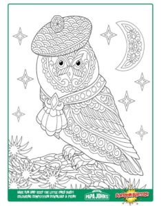 Owl colour sketch